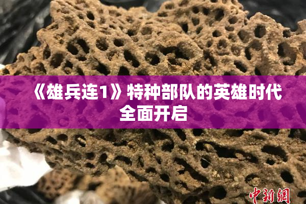 《雄兵连1》特种部队的英雄时代全面开启