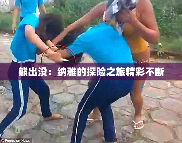 熊出没：纳雅的探险之旅精彩不断