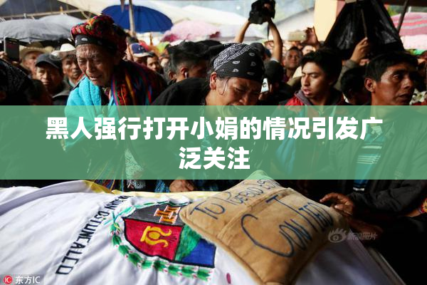 黑人强行打开小娟的情况引发广泛关注