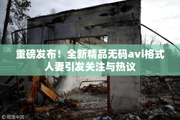 重磅发布！全新精品无码avi格式人妻引发关注与热议