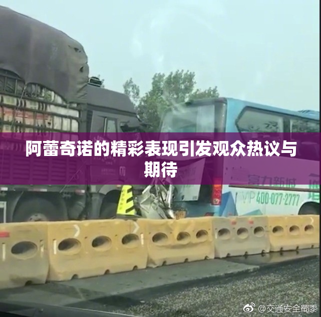 阿蕾奇诺的精彩表现引发观众热议与期待