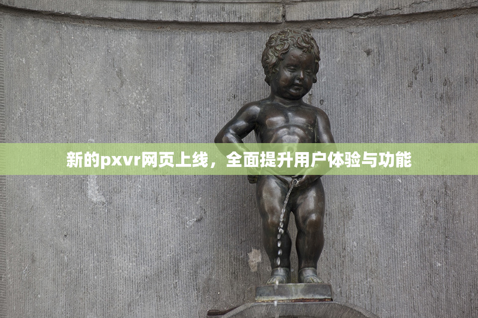 新的pxvr网页上线，全面提升用户体验与功能