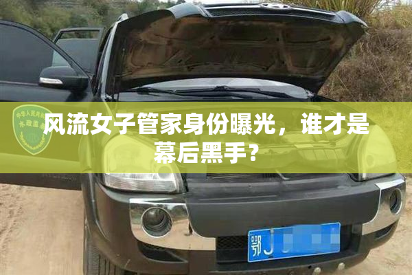 风流女子管家身份曝光，谁才是幕后黑手？