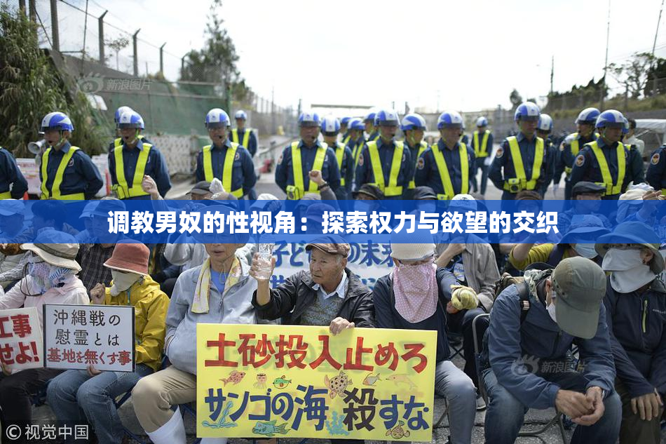 调教男奴的性视角：探索权力与欲望的交织