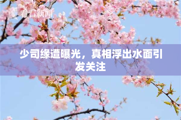 少司缘遭曝光，真相浮出水面引发关注