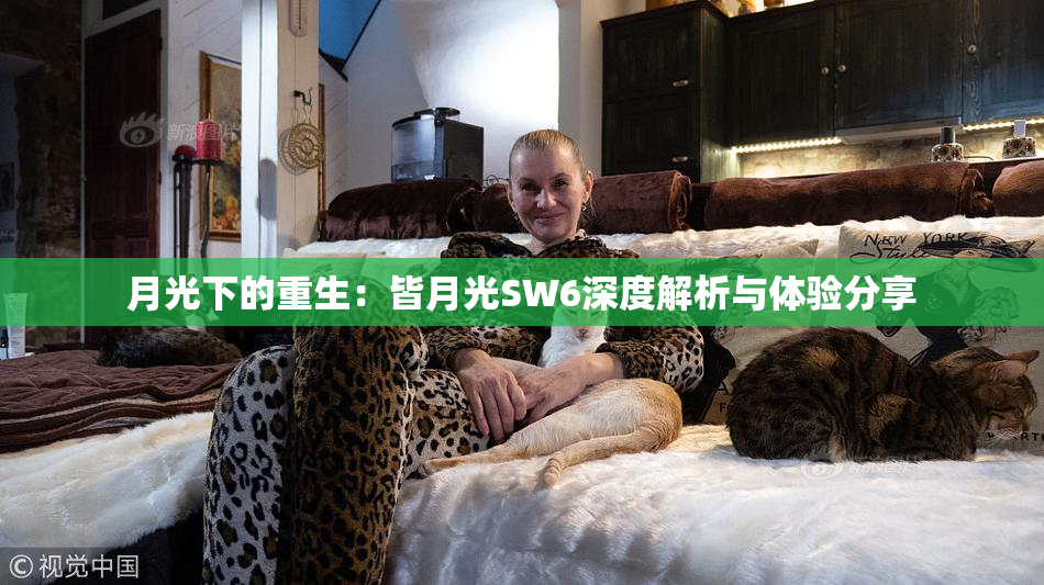 月光下的重生：皆月光SW6深度解析与体验分享
