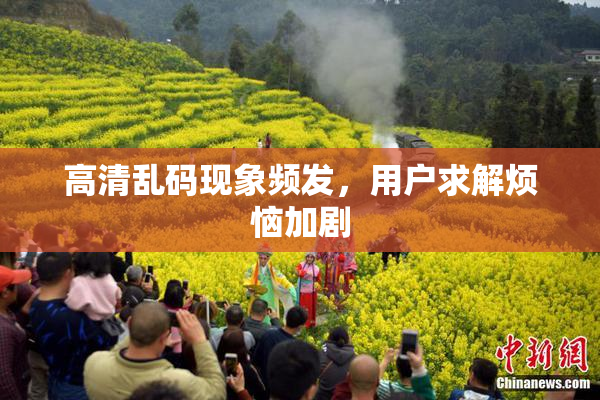 高清乱码现象频发，用户求解烦恼加剧