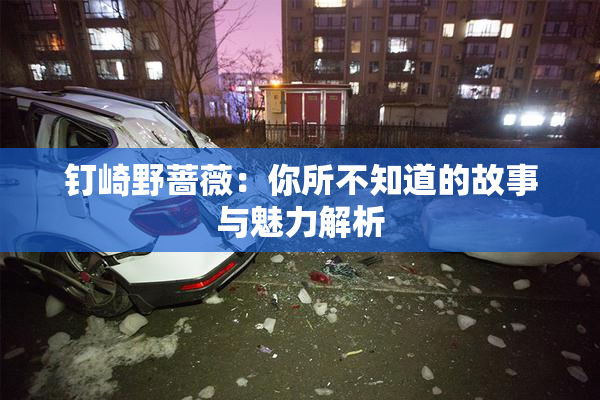 钉崎野蔷薇：你所不知道的故事与魅力解析