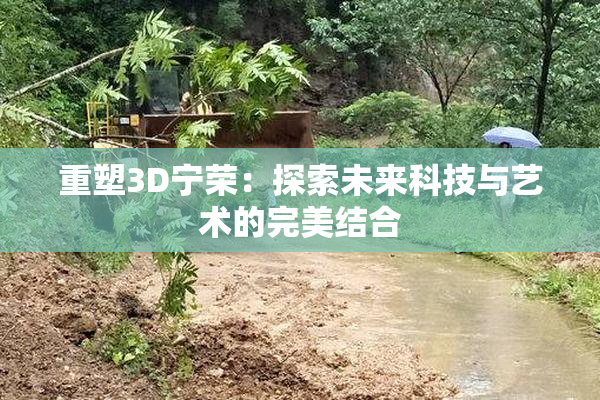 重塑3D宁荣：探索未来科技与艺术的完美结合