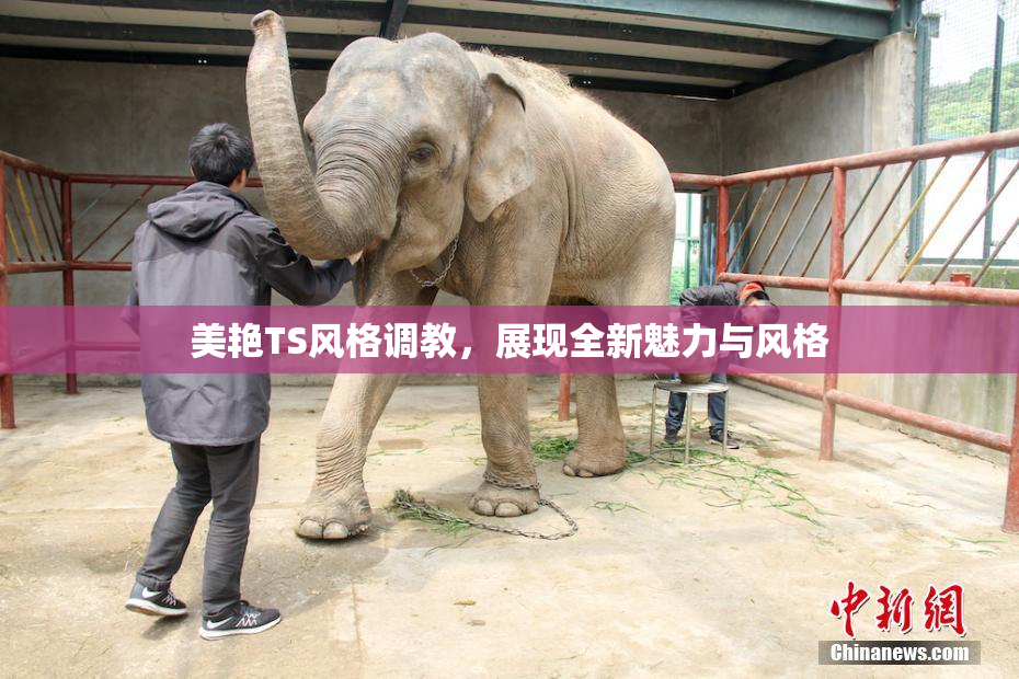 美艳TS风格调教，展现全新魅力与风格