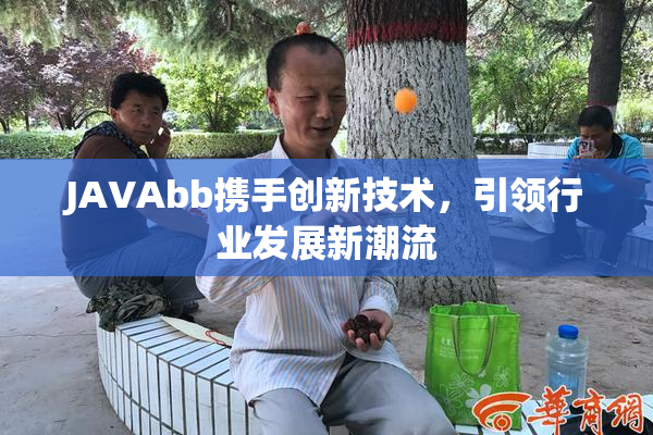 JAVAbb携手创新技术，引领行业发展新潮流