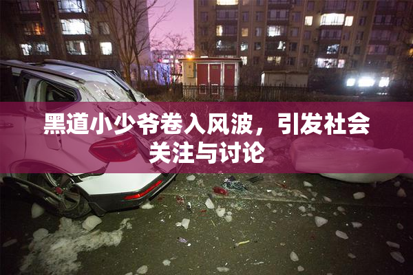 黑道小少爷卷入风波，引发社会关注与讨论