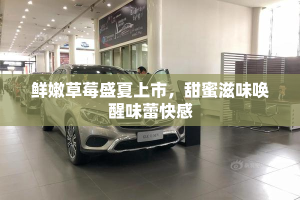 鲜嫩草莓盛夏上市，甜蜜滋味唤醒味蕾快感