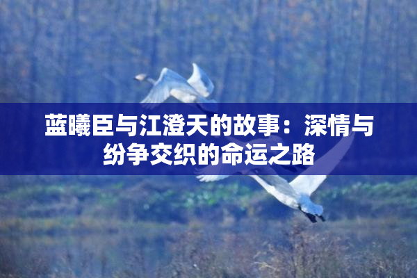 蓝曦臣与江澄天的故事：深情与纷争交织的命运之路