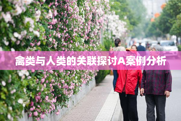 禽类与人类的关联探讨A案例分析