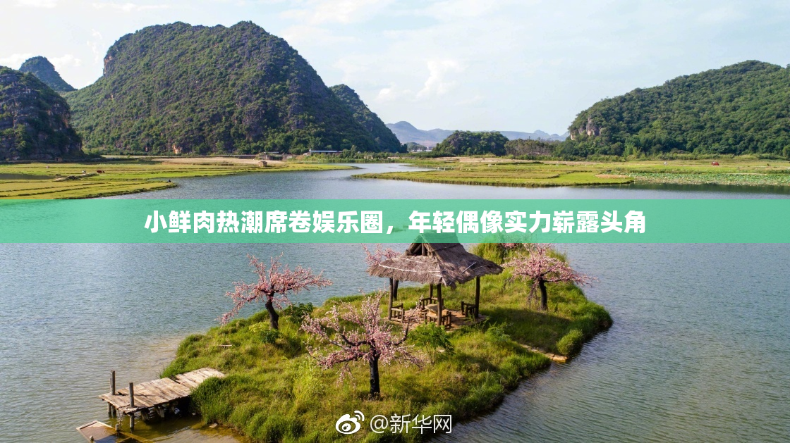 小鲜肉热潮席卷娱乐圈，年轻偶像实力崭露头角