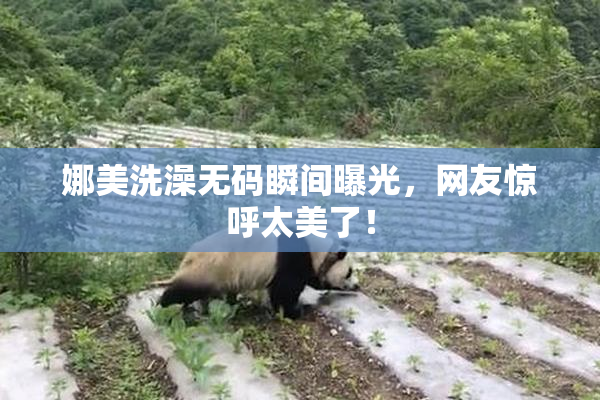 娜美洗澡无码瞬间曝光，网友惊呼太美了！