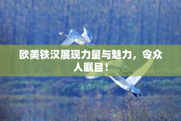 欧美铁汉展现力量与魅力，令众人瞩目！