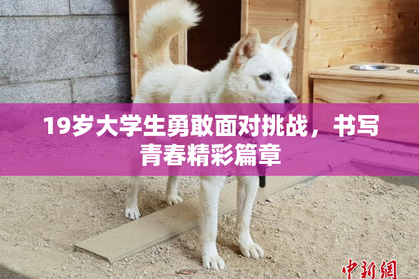 19岁大学生勇敢面对挑战，书写青春精彩篇章