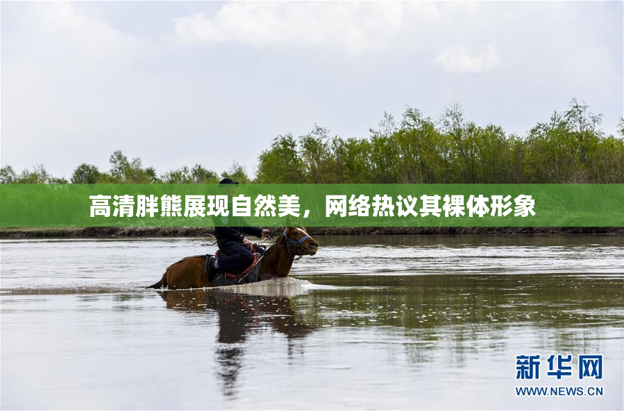 高清胖熊展现自然美，网络热议其裸体形象