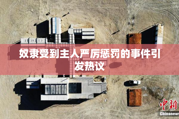 奴隶受到主人严厉惩罚的事件引发热议