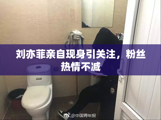 刘亦菲亲自现身引关注，粉丝热情不减