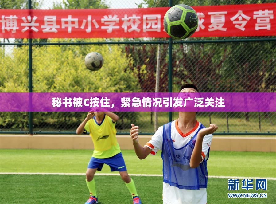 秘书被C按住，紧急情况引发广泛关注