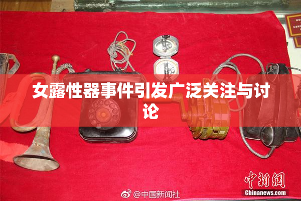 女露性器事件引发广泛关注与讨论