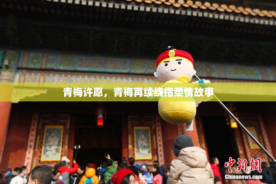 青梅许愿，青梅再续绕指柔情故事