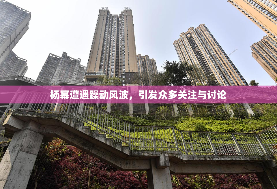 杨幂遭遇躁动风波，引发众多关注与讨论