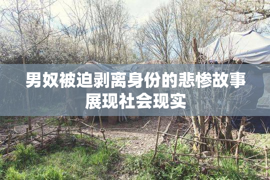 男奴被迫剥离身份的悲惨故事展现社会现实
