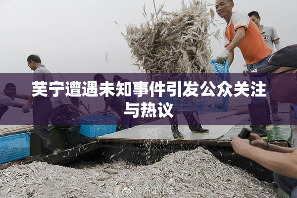 芙宁遭遇未知事件引发公众关注与热议