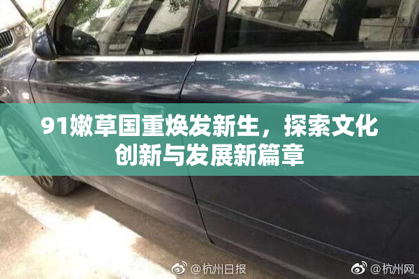 91嫩草国重焕发新生，探索文化创新与发展新篇章
