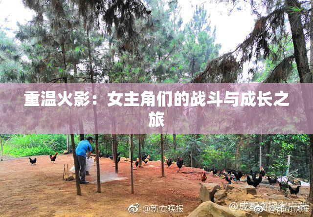 重温火影：女主角们的战斗与成长之旅