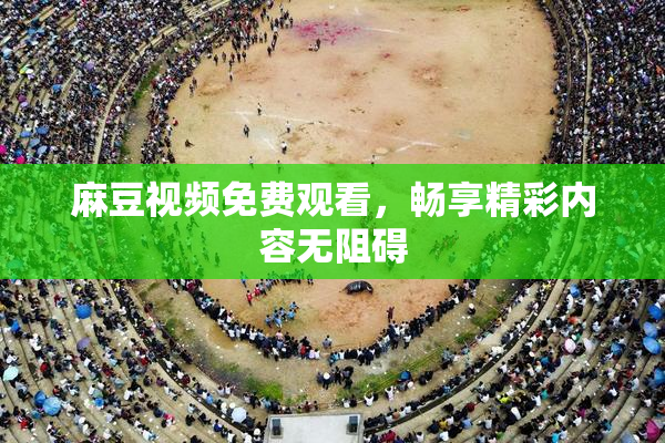 麻豆视频免费观看，畅享精彩内容无阻碍