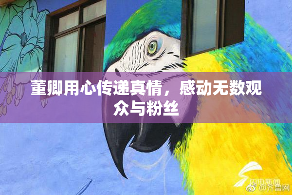 董卿用心传递真情，感动无数观众与粉丝