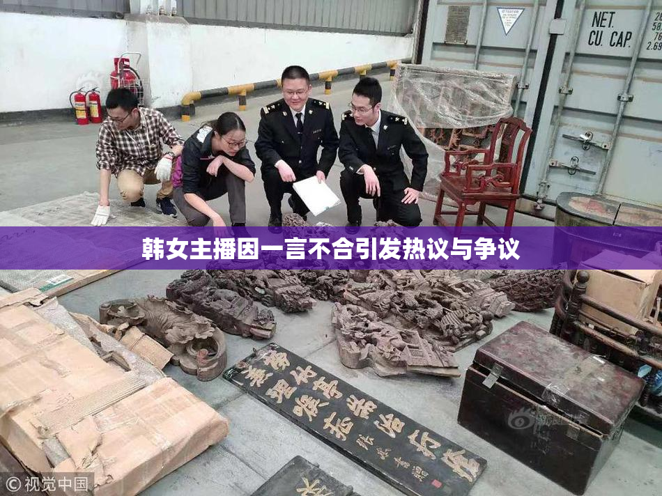 韩女主播因一言不合引发热议与争议