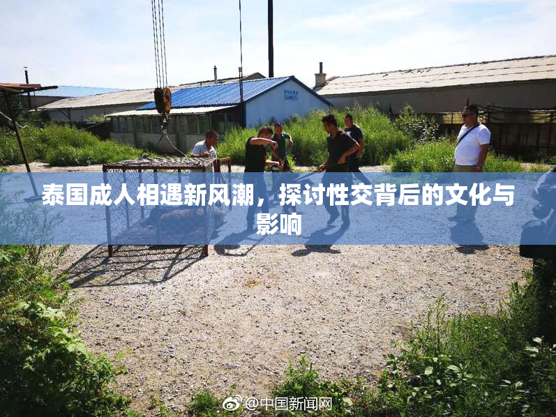 泰国成人相遇新风潮，探讨性交背后的文化与影响