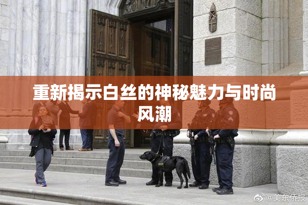 重新揭示白丝的神秘魅力与时尚风潮