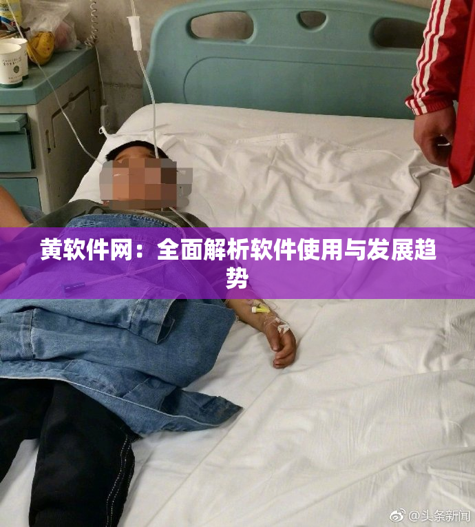 黄软件网：全面解析软件使用与发展趋势