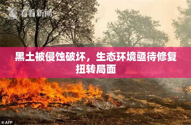 黑土被侵蚀破坏，生态环境亟待修复扭转局面