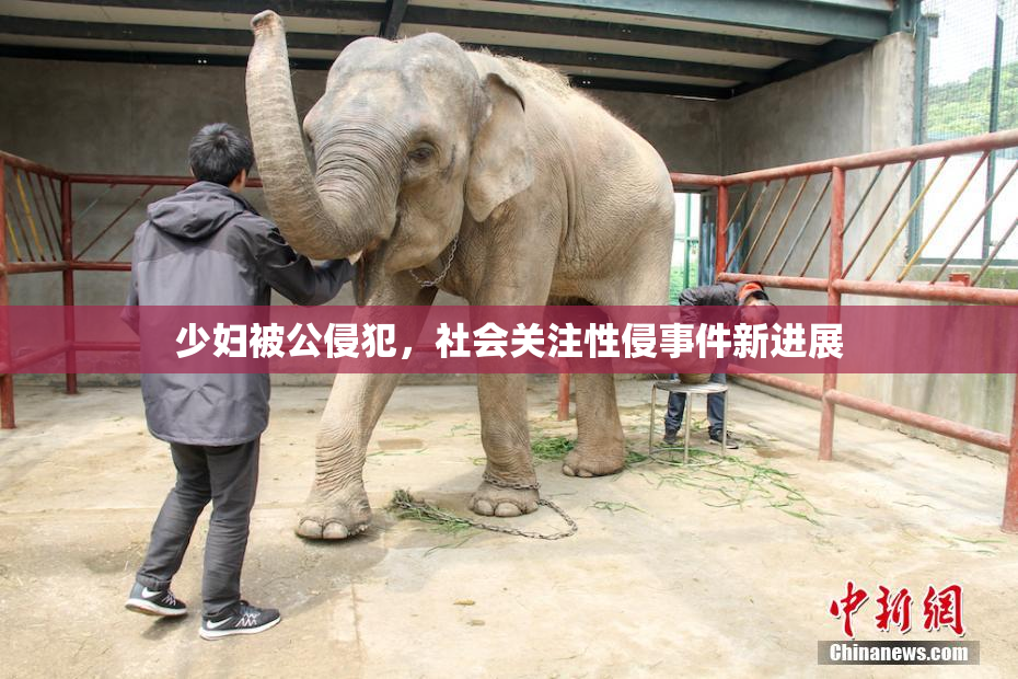 少妇被公侵犯，社会关注性侵事件新进展