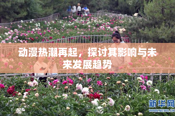 动漫热潮再起，探讨其影响与未来发展趋势