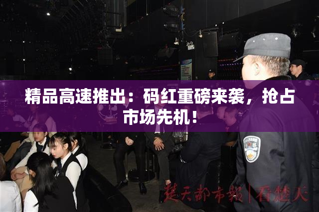 精品高速推出：码红重磅来袭，抢占市场先机！