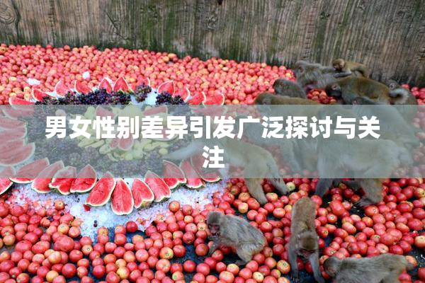 男女性别差异引发广泛探讨与关注
