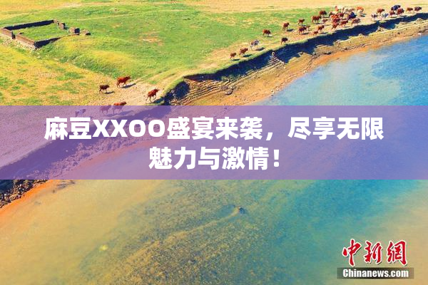麻豆XXOO盛宴来袭，尽享无限魅力与激情！