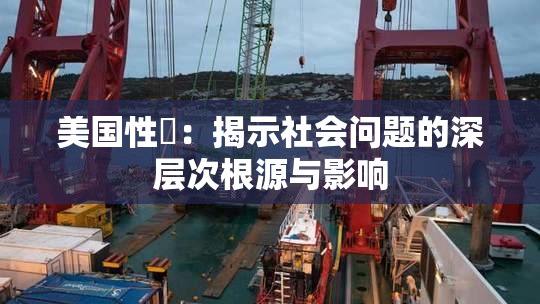 美国性婬：揭示社会问题的深层次根源与影响