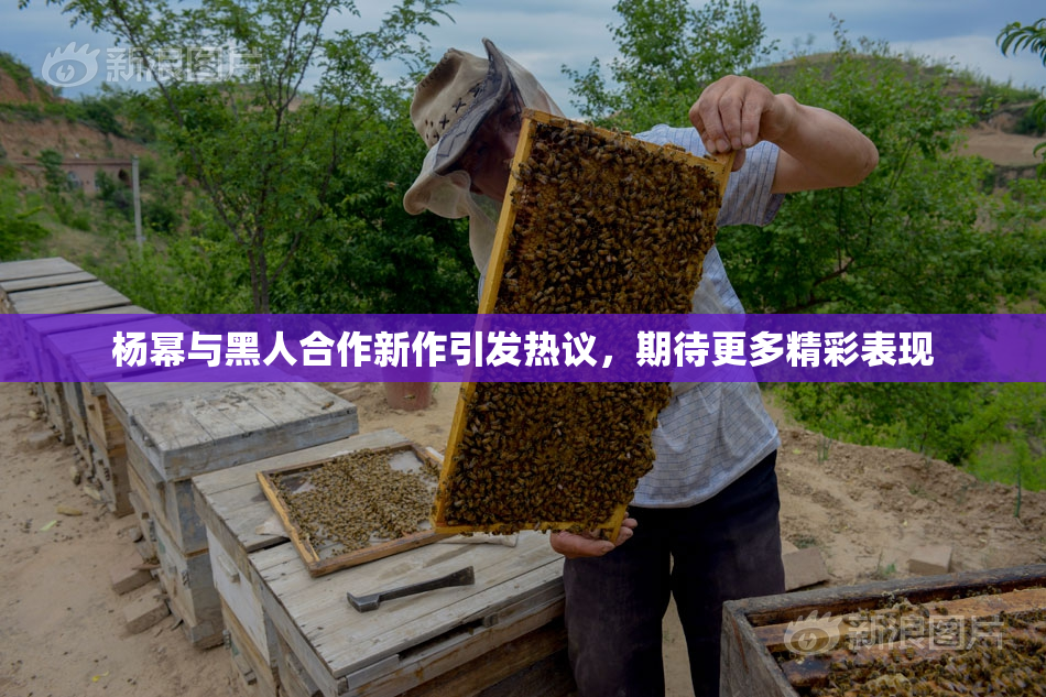 杨幂与黑人合作新作引发热议，期待更多精彩表现