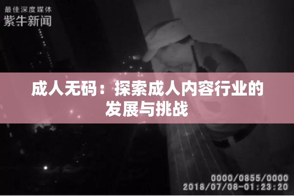 成人无码：探索成人内容行业的发展与挑战