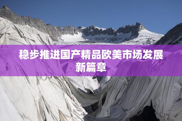 稳步推进国产精品欧美市场发展新篇章
